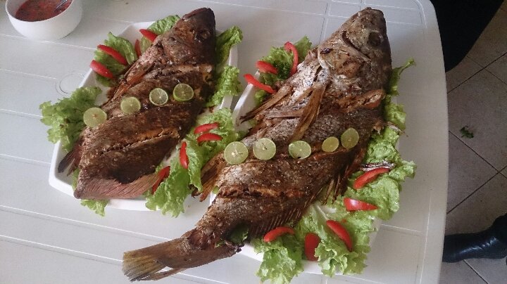 LEXA Sakafo Traiteur